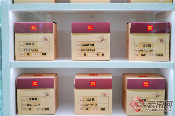雨林古茶坊：30000多种不同味道的古树茶原料样本