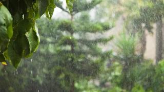 【新闻早茶】新一轮强降雨已至，河北最新预警！还有这些热点……