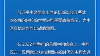 中阿合作论坛第十届部长级会议前瞻