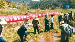 和平镇主题党日聚合力促美丽乡村建设