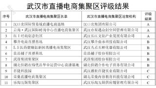 正在公示！武汉市直播电商集聚区评级结果公布