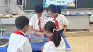 河北故城：科学实验测评活动助力学生科学素养提升
