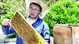 刘甫智通过传授技术带动周边群众养蜂致富，助力乡村产业发展