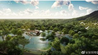 深圳将新增两处区级湿地公园