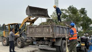 绍兴斗门街道：科技加码“变废为宝” 废弃秸秆有了新出路