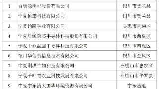 宁夏认定首批10家瞪羚企业