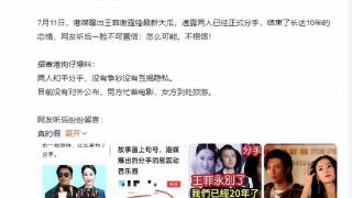 港媒爆料“王菲谢霆锋分手传闻”，原因很简单