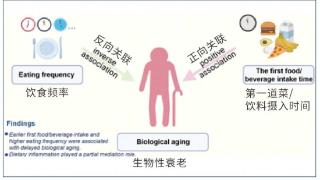 早餐这样吃居然会加速衰老？做个改变，你会更健康