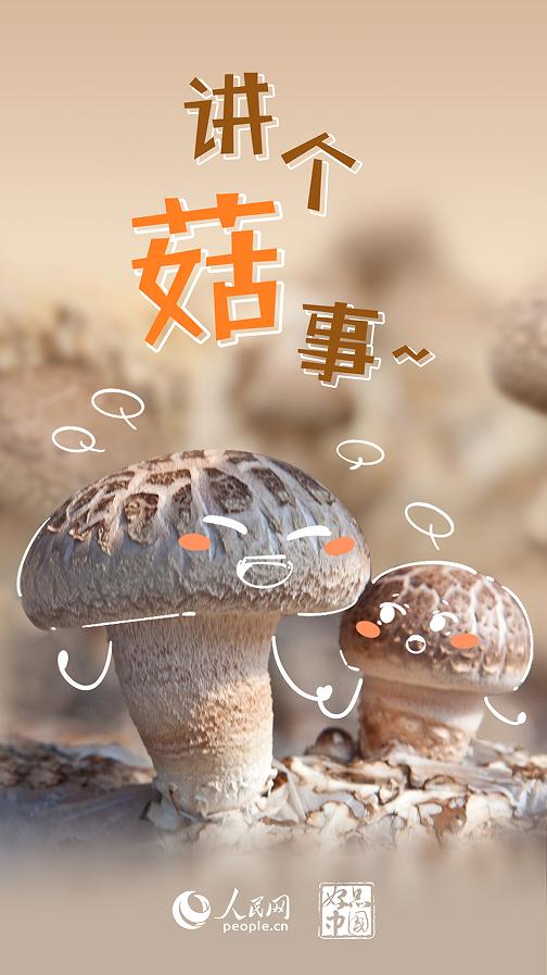 好品中国｜超级“蘑”力 不可“菇”量