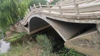 临沂市城管局园林环卫中心：翻新景观桥，提升园区景观品质