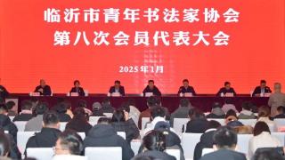 临沂市青年书法家协会第八次会员代表大会召开，范东旭当选主席