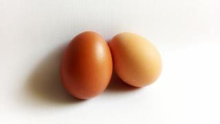 鸡蛋与鸭蛋的营养比拼，谁更胜一筹？