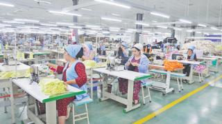 提升棉花种植技术  推动纺织工业发展