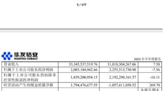 华友钴业H1营收增7.5%净利降7.56% 股价跌6.64%