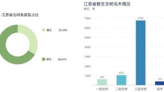 江苏省各市古树生长情况