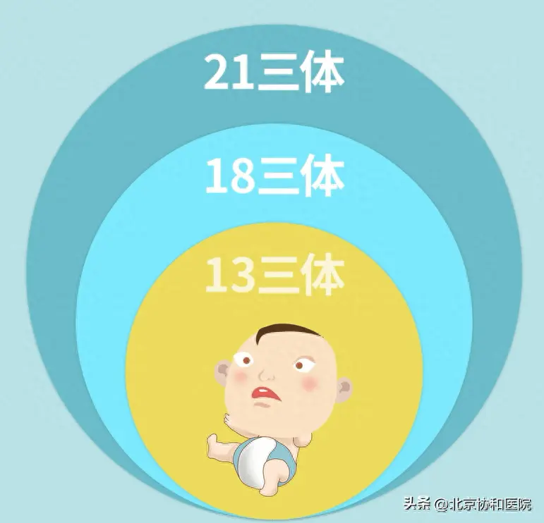 中国预防出生缺陷日｜预防出生缺陷，你需要知道的