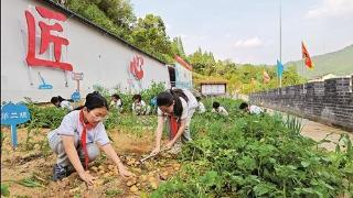 投身劳动强实践