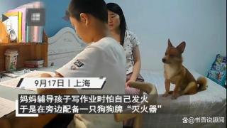 妈妈怕辅导儿子写作业会发火，配备了狗狗牌“灭火器”：效果明显