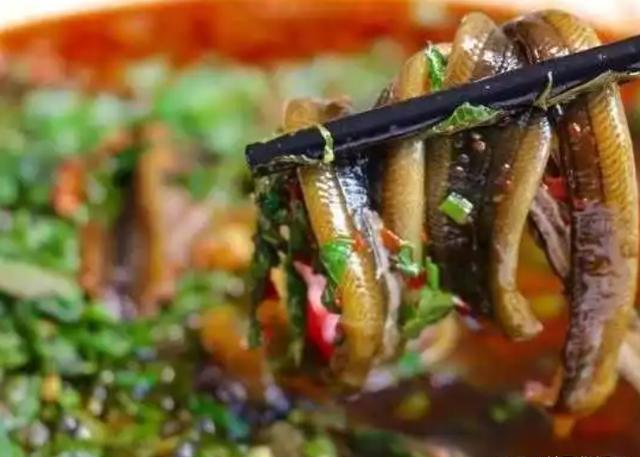 分享泥鳅好吃又简单的五种做法，比饭店的还香