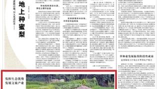 人民日报关注 | 柳州三江发挥生态优势 发展文旅产业