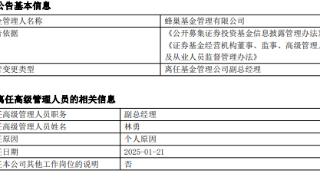 林勇离任蜂巢基金副总经理