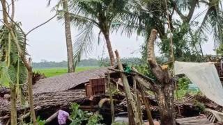 缅甸仰光、妙瓦底遭灾害；若开邦水产业遇困难；克伦邦扩种咖啡豆
