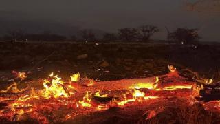 致53死！航拍“夏威夷山火”像被轰炸的战区，暂无中国籍公民伤亡
