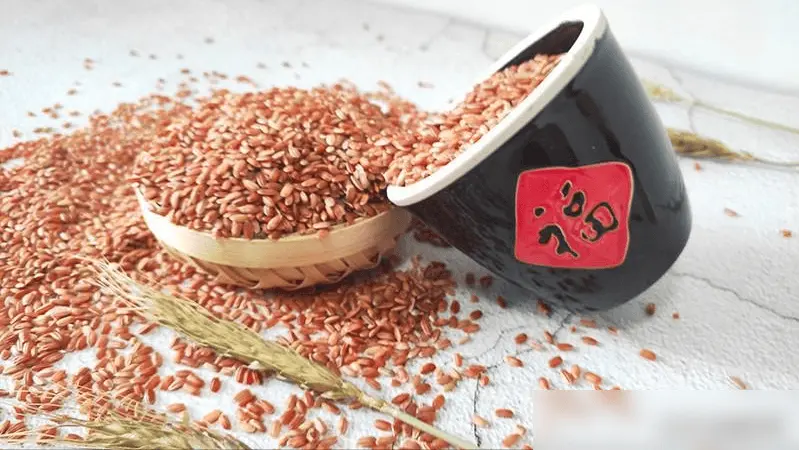盐碱地产出的海水稻，稻米红如胭脂，口感难吃为何还要大量种植