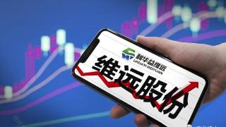 维远股份2022年净利6.08亿同比下滑71.73%