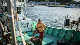 日本渔民：政府选择了最糟的做法