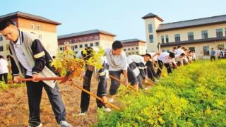 校园喜迎“丰收节”（新时代 新征程 新伟业·豫见“三秋”）