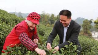 廖红军：做白茶产业发展的“尖兵”
