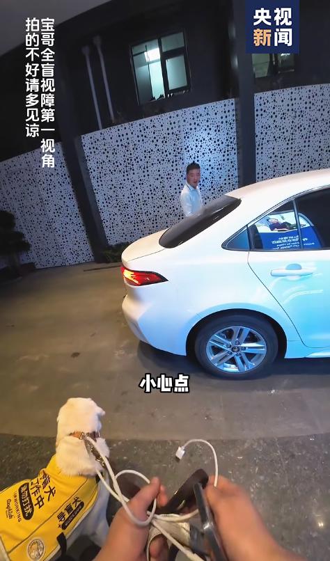 他牵着导盲犬走在北京街头，一位阿姨大喊：别动别动！看看吧
