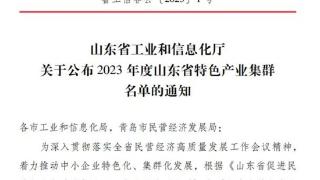 上榜！东营区这一产业集群获省级认定