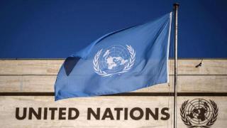 联合国特别报告员：绝大多数制裁目前都违反国际法