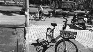“用共享单车设路障修剪树枝”