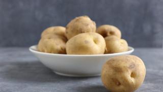 要想防止土豆发芽，关键在于控制好温度、湿度和光线