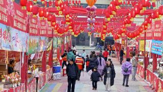 【新春走基层】纳雍：年货节上年味浓