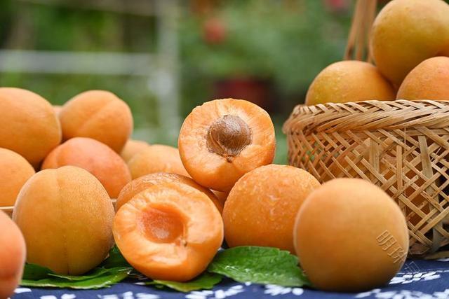夏季吃杏的话，对于肝脏又是好是坏呢？会不会对肝造成影响呢