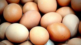 鸡蛋，营养全能王还是健康隐患？健康吃蛋的秘诀