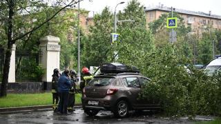 莫斯科副市长：莫斯科大风袭击致700余大树倒塌 300多汽车