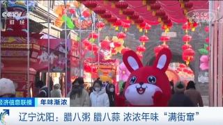 2023中国沈阳迎春灯会持续61天横跨春节两大节日