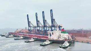莆田东吴港区吞吐量 1月同比增长8.16%