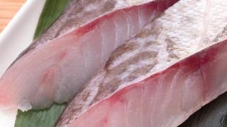 生鱼片有哪几种鱼，不同品种的鱼口感肉质有不同，一起来了解