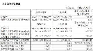 永安期货：上半年归母净利润约3亿元 同比减少25.35%