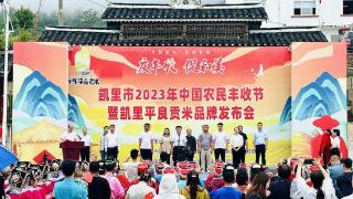凯里庆祝2023年中国农民丰收节暨“凯里平良贡米”品牌发布会举行