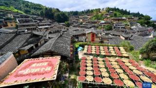 福建尤溪县桂峰村“晒秋”节吸引游客拍照