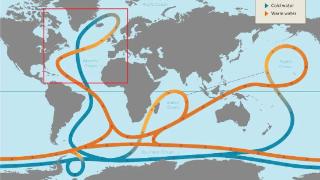 地球的“顶流”要“塌房”？这一次可能是真的