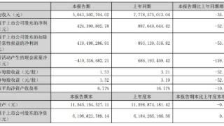 润丰股份H1净利减半 正拟募资24.6亿2021年上市募15亿