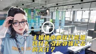 【侨一瞧】大运会主媒体中心这只熊猫 凭什么引起外媒记者的关注？